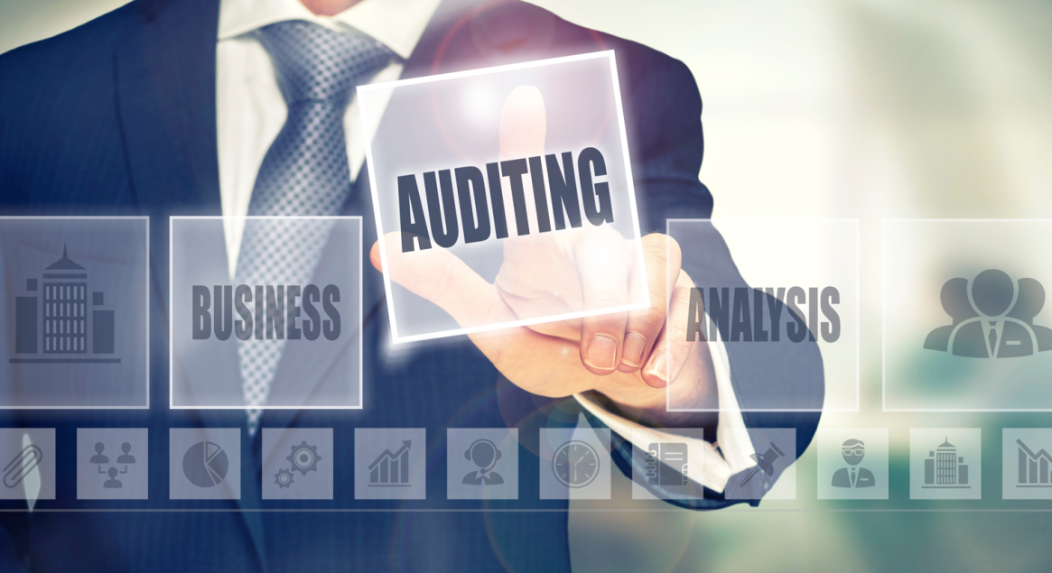 Ελεγκτική του Δημόσιου Τομέα στην Ελλάδα: Αναγκαιότητα-Οφέλη και Διαχείριση Δημόσιων Πόρων