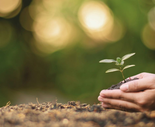 ΜΜΕ: Αειφορία Ανάπτυξη και Διατηρησιμότητα - Κίνδυνοι μη Επιβίωσης